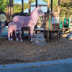 Coy Park - Party of the play area