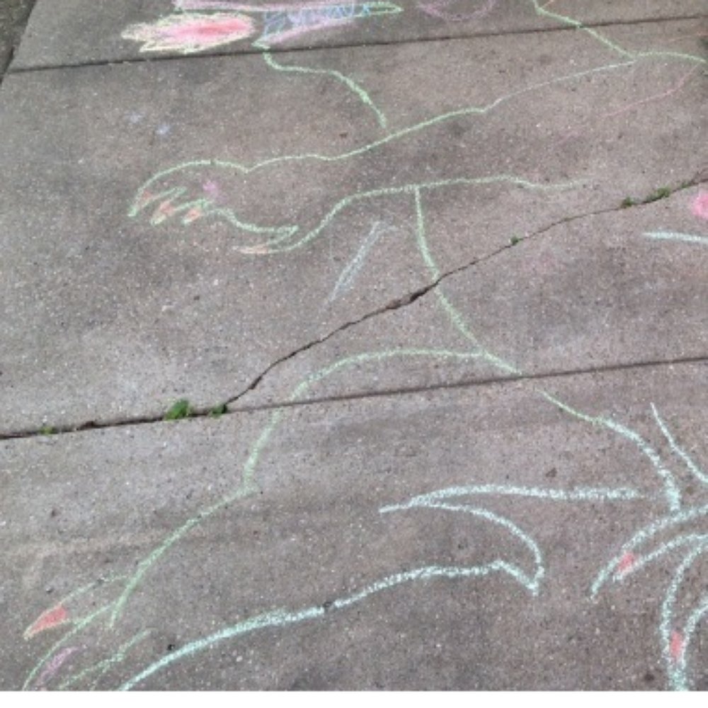 Dollar Tree - Drawing courtesy of children and Dollar Tree sidewalk chalk. - Discount Store Near Me - Chicago, Illinois Dollar Tree - Drawing courtesy of children and Dollar Tree sidewalk chalk. - Discount Store Near Me - Chicago, Illinois