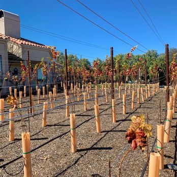 Artisan Excursion Wine Tours - Transportation Near Me Artisan Excursion Wine Tours - Transportation Near Me