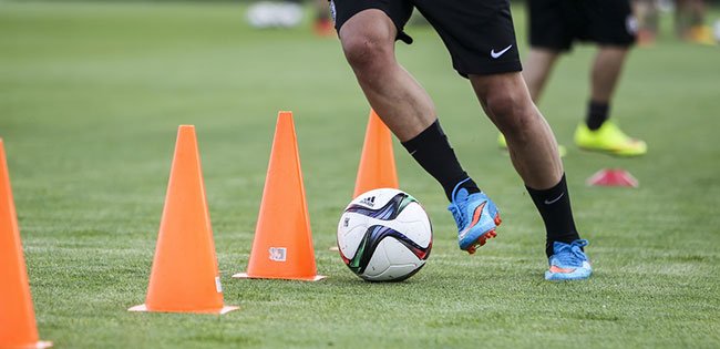 Elite Soccer Training Logo