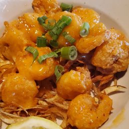 Shotgun Shrimp