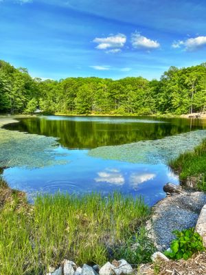 Postcard Cabins Asheboro by null