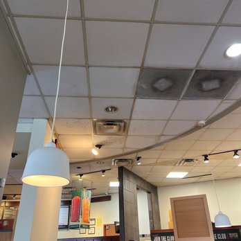 Panera Bread - Mold just nasty - Sandwiches Near Me - Pearland, Texas