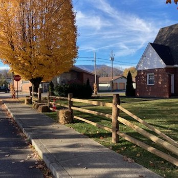 Element Arbor - Tree Services Near Me Element Arbor - Tree Services Near Me
