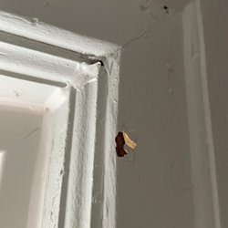 Wilber's Home Improvements - Look at this caulking. Again, paint peeling right off. No smoothing of any surfaces. These were beautiful window frames before they started.