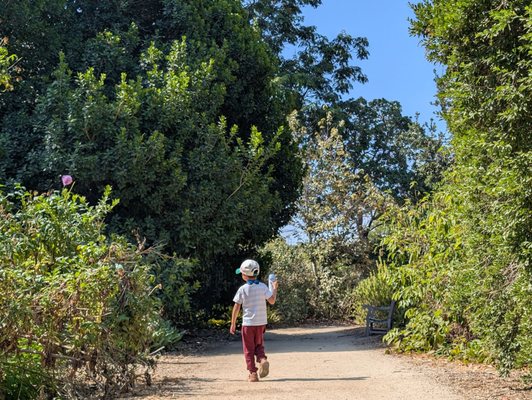 Arboretum and Botanical Garden at Cal State Fullerton by null