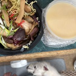 TapAsia Asian Tapas - Tonkotsu Ramen with soup separated and little dog watching.