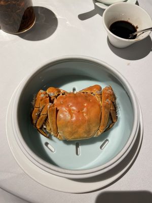 Tien Hsiang Lo by null