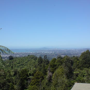 Elevation Cafe and Restaurant - View - Modern European Near Me - Auckland, AUK