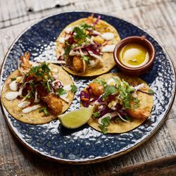Tacos & Tequila