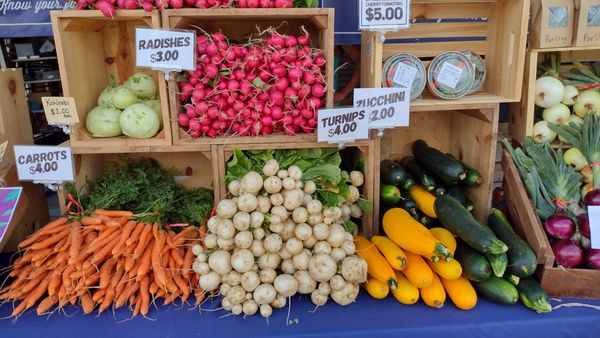 U City Farmers Market by null