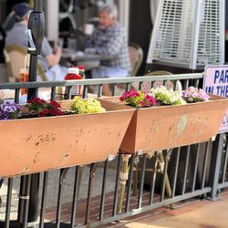 Bacon - Freshly planted flowers in our flower boxes