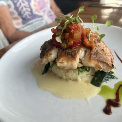 Shore - Snapper