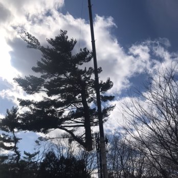 Murphy’s TreeScapes - 13,000 lb. pick - Tree Services Near Me