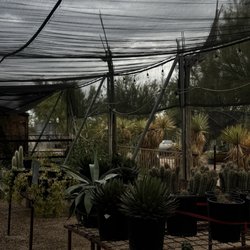North Scottsdale Nursery and Cactus