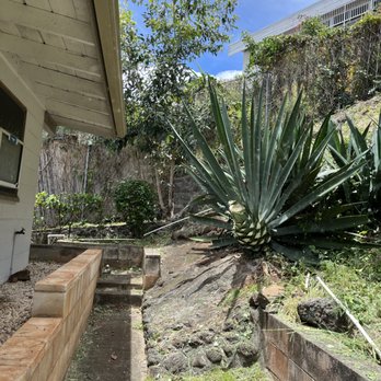 Eternal Landscaping And Yard Maintenance - Landscaping Near Me Eternal Landscaping And Yard Maintenance - Landscaping Near Me