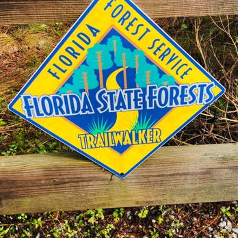 The Longleaf Pine Greenway Trail - Hiking Near Me - Santa Rosa Beach, Florida