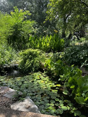 Zilker Botanical Garden by null