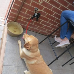 Outside Outside