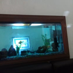 Los Farolitos - Retro fish tank