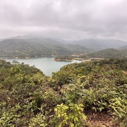 金山郊野公園