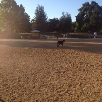 Mitchell Park - Dog park - Playgrounds Near Me - Palo Alto, California Mitchell Park - Dog park - Playgrounds Near Me - Palo Alto, California