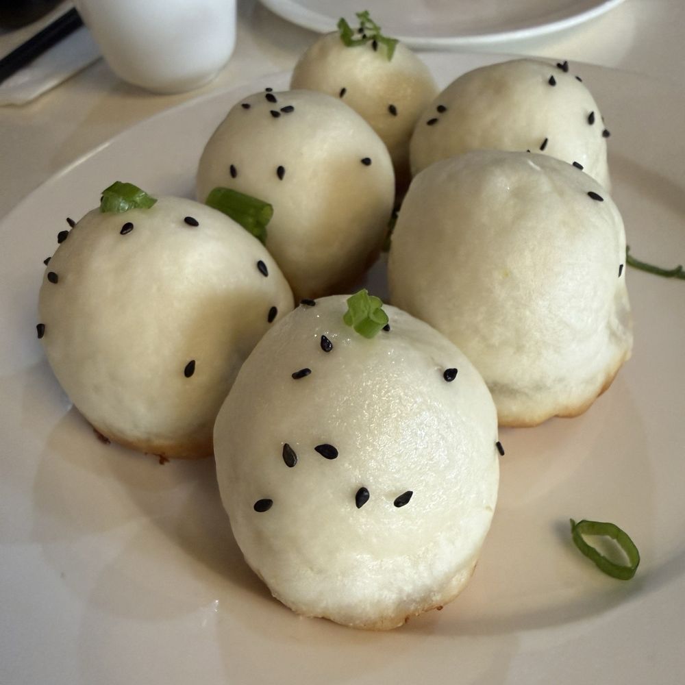 Shanghai Bun Dynasty - Sheng jian bao - Shanghainese Near Me - Cupertino, California