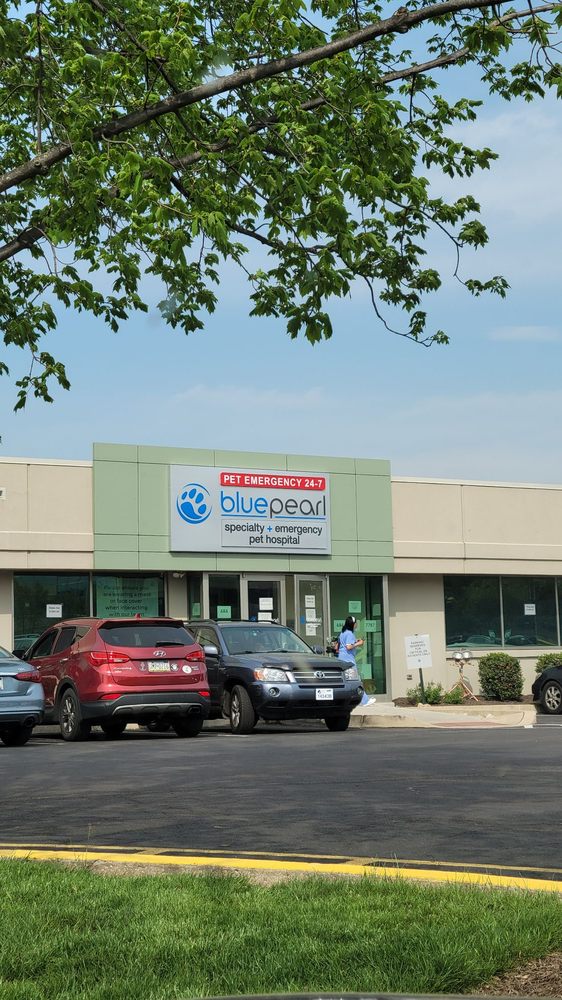 Bluepearl Pet Hospital Conshohocken 43 Reviews Emergency Pet Hospital 625 Ridge Pike Conshohocken Pa United States Phone Number