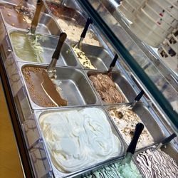 Gelateria Pasticceria Badiani - So many to choose from!