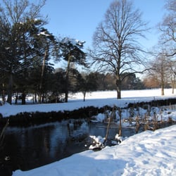 Bute Park