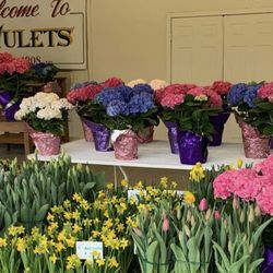Dwulet's Farm & Garden