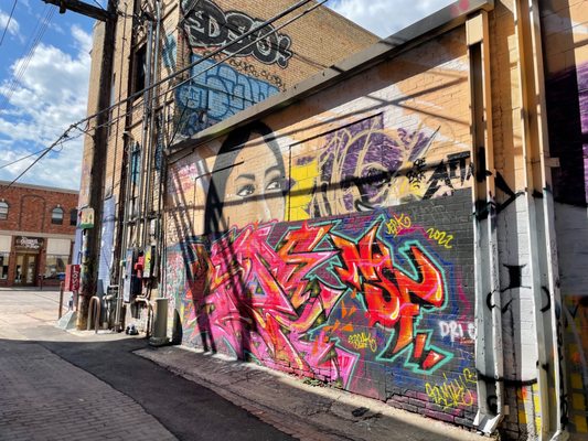 Art Alley by null