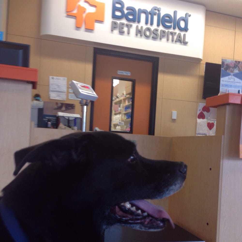 banfield irvington