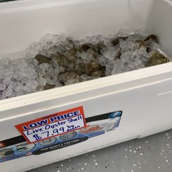 Coastal Seafood Market - Live oysters
