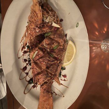Tempest Oyster Bar - Special for the night: Red Snapper - Bars Near Me - Madison, Wisconsin Tempest Oyster Bar - Special for the night: Red Snapper - Bars Near Me - Madison, Wisconsin