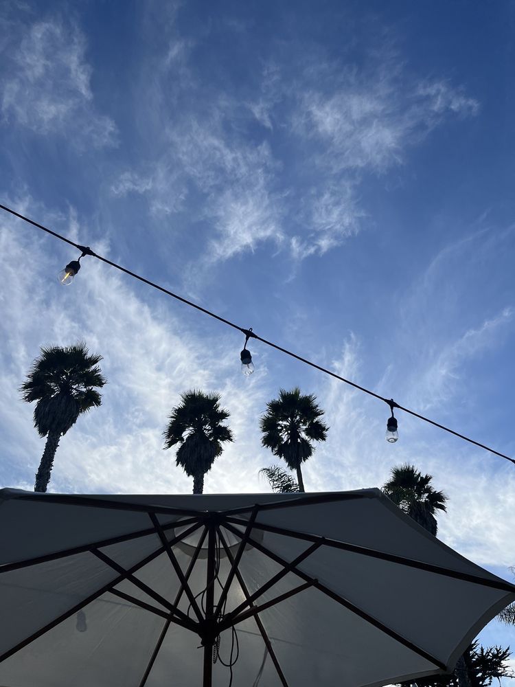 LA SELVA BEACH LIBRARY Updated September 2024 17 Photos 316