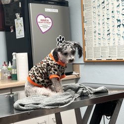 Edgefield Animal Clinic - Love the Care they Gave My Baby!!