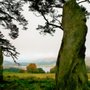 Photo of Mini Kilt Tours