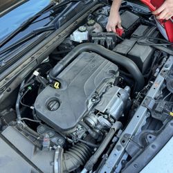 Budget - These people have extremely poor vehicle maintenance, yet they want to charge you an exorbitant amount. Look at how dirty this engine is.