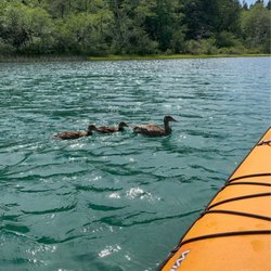 Adventures Through Kayaking