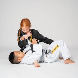 Alliance Vancouver - Mounted arm bar