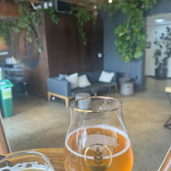Pure Project - Carlsbad - Beer - Breweries Near Me - Carlsbad, California Pure Project - Carlsbad - Beer - Breweries Near Me - Carlsbad, California