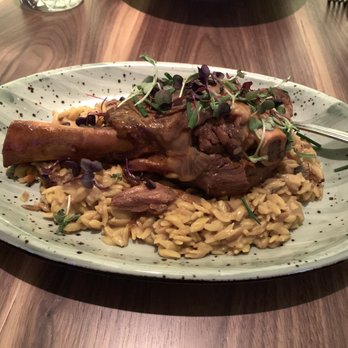 Leyla - Lamb Shank served on Orzo Risotto. - Turkish Near Me - New York, New York Leyla - Lamb Shank served on Orzo Risotto. - Turkish Near Me - New York, New York