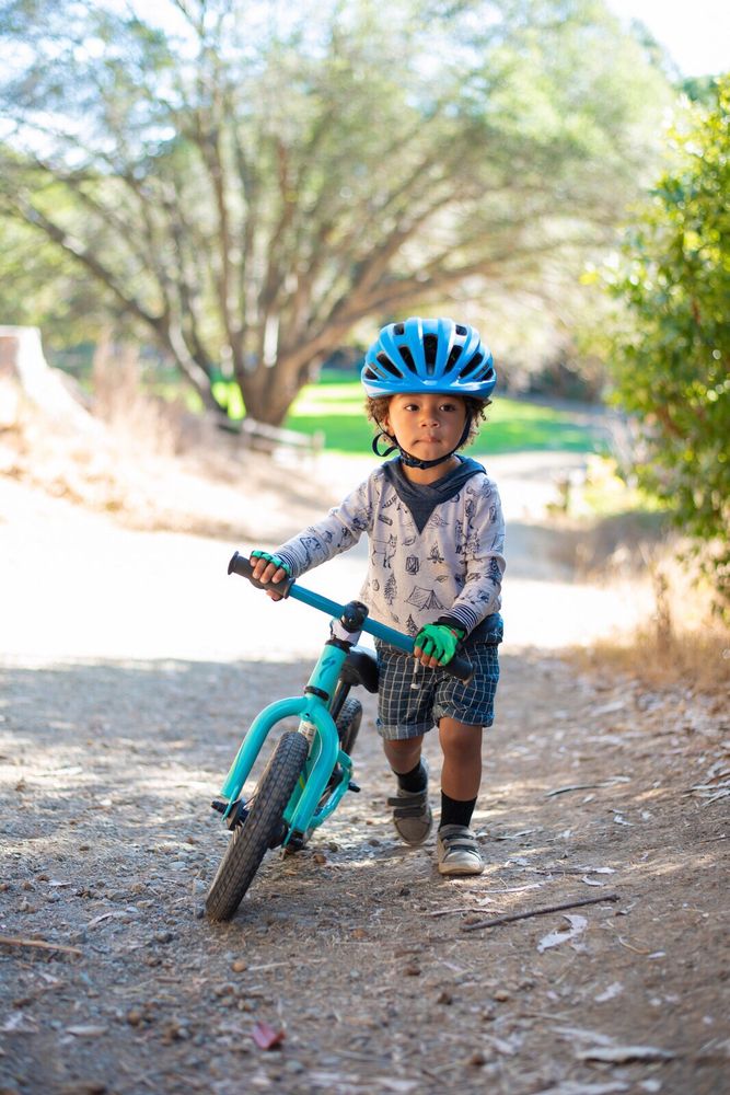 THE PEDALER BIKE SHOP 75 Photos & 200 Reviews Bikes 3826 San