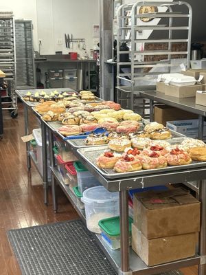 Ruckus Donuts by null