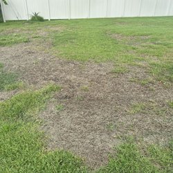 Nvirotect Pest Control Services - Dead grass