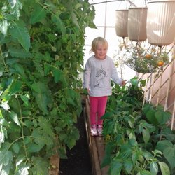 Eko Pley Preschool Academy - It's a jungle in here!
