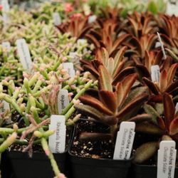 Seasons Nursery