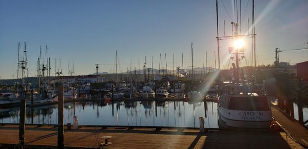 Sea J's Cafe by null