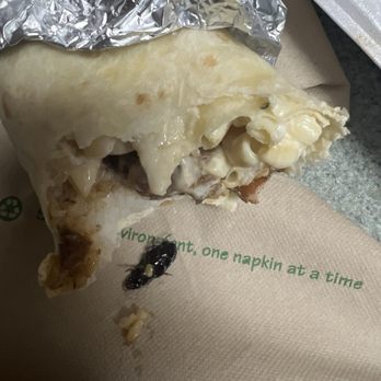 Hawaiian Bros Island Grill - Bug found in burrito while my son was eating it. - Hawaiian Near Me - Allen, Texas